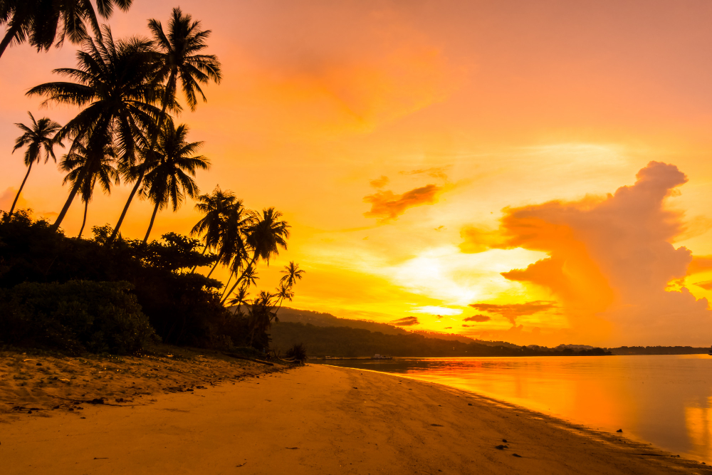 bela-vista-para-o-mar-ao-ar-livre-e-praia-com-palmeira-de-coco-tropical-na-hora-do-nascer-do-sol